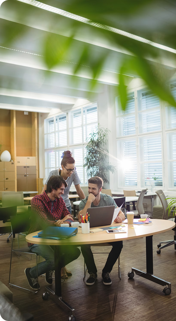 Submit Information