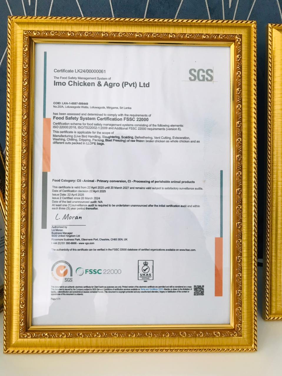 IMO certification 2