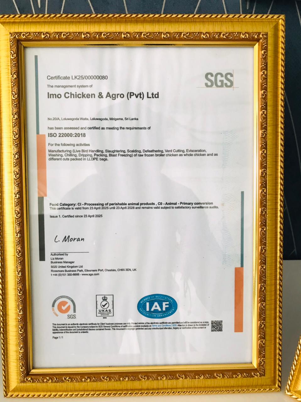 IMO certification 5