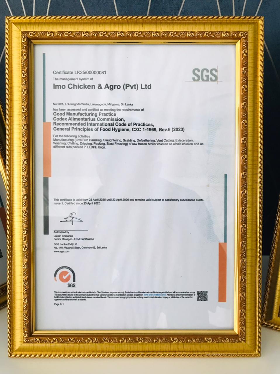 IMO certification 7