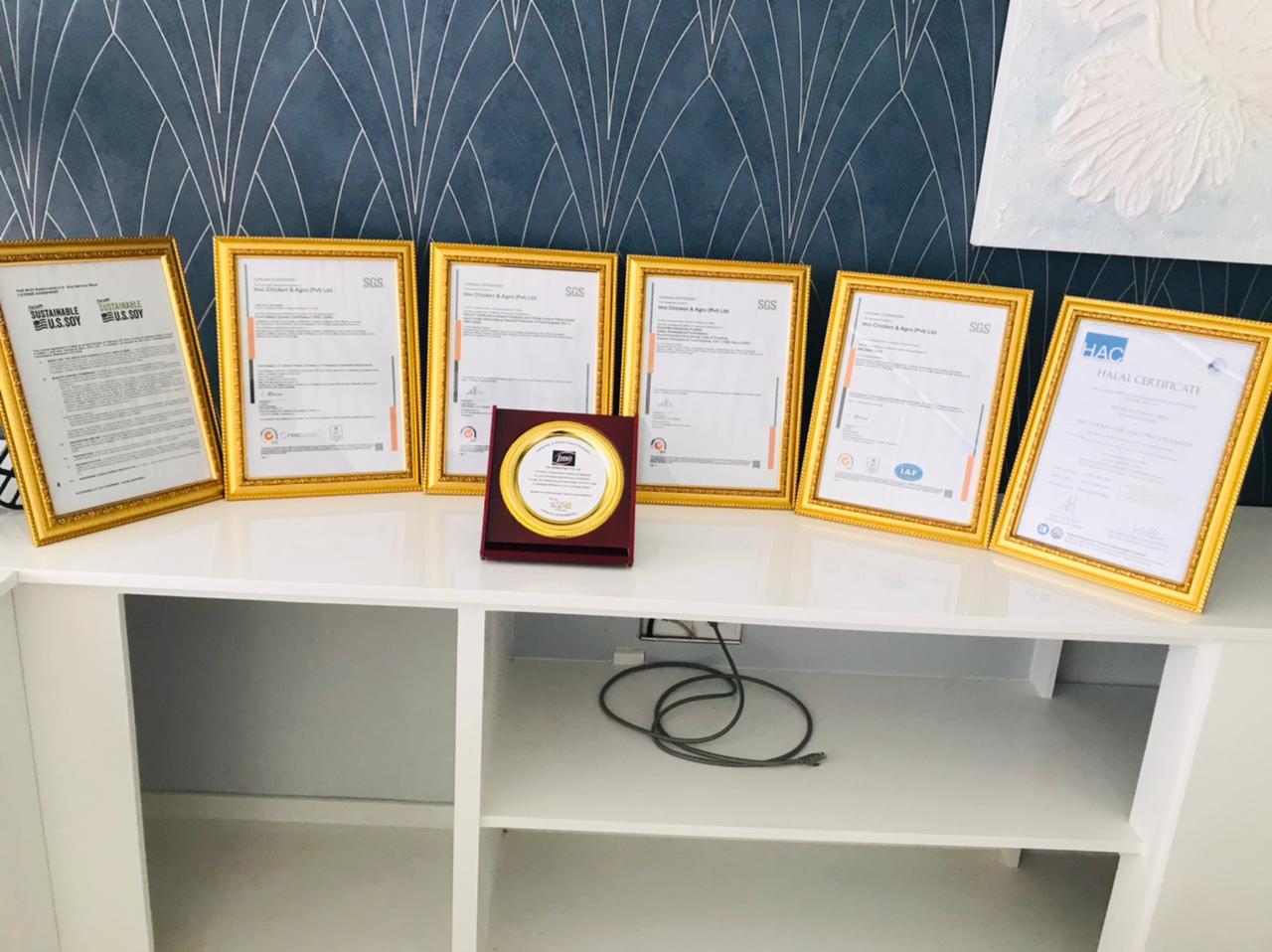 IMO certification 8
