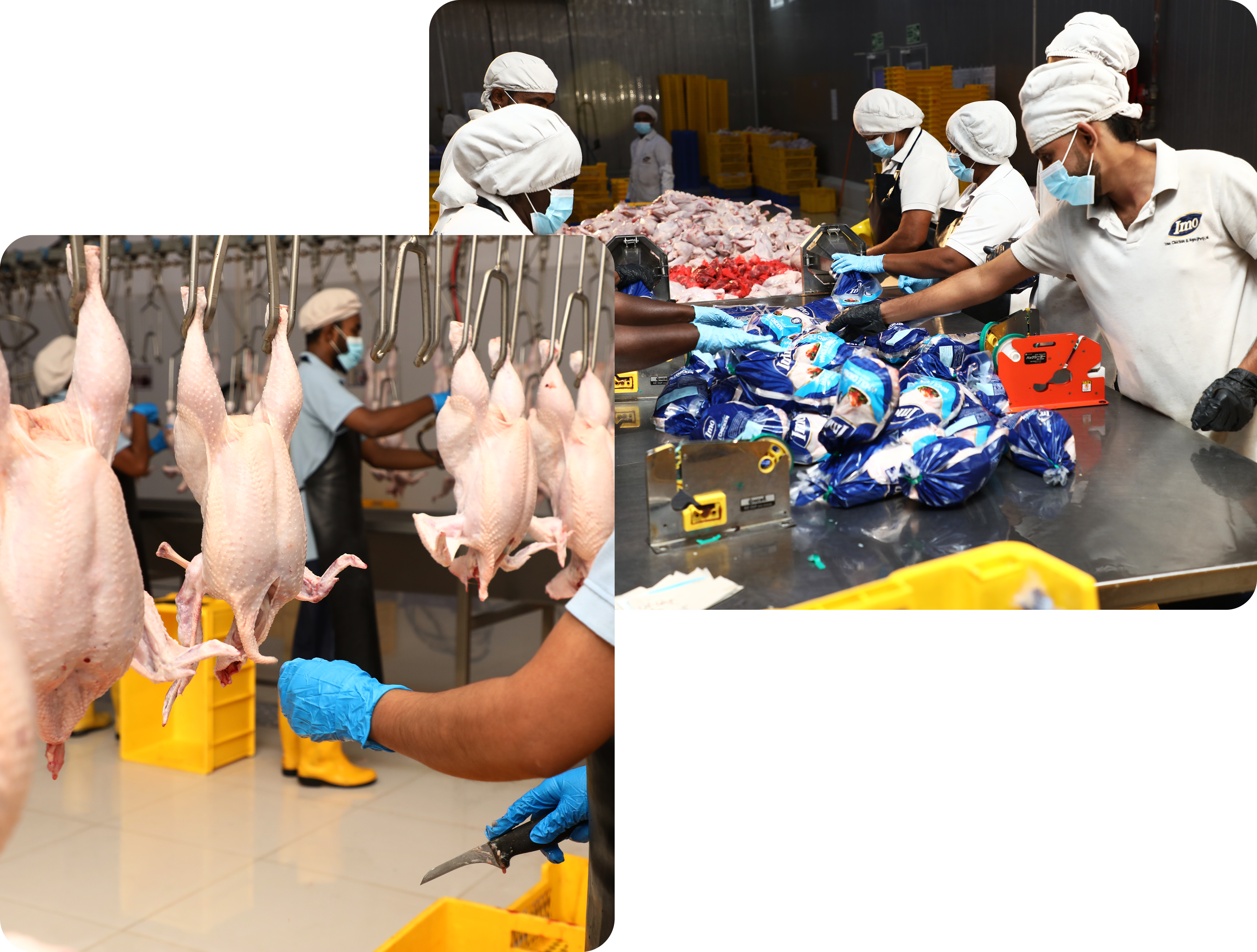 Our team at work